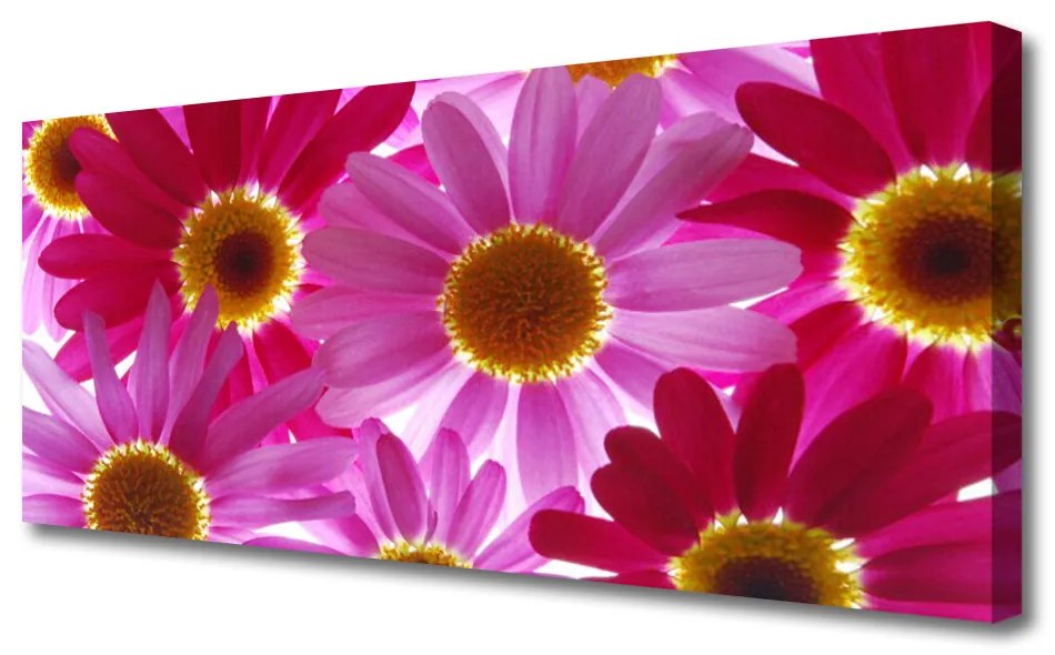 Tablou pe panza canvas Flori Floral galben roz