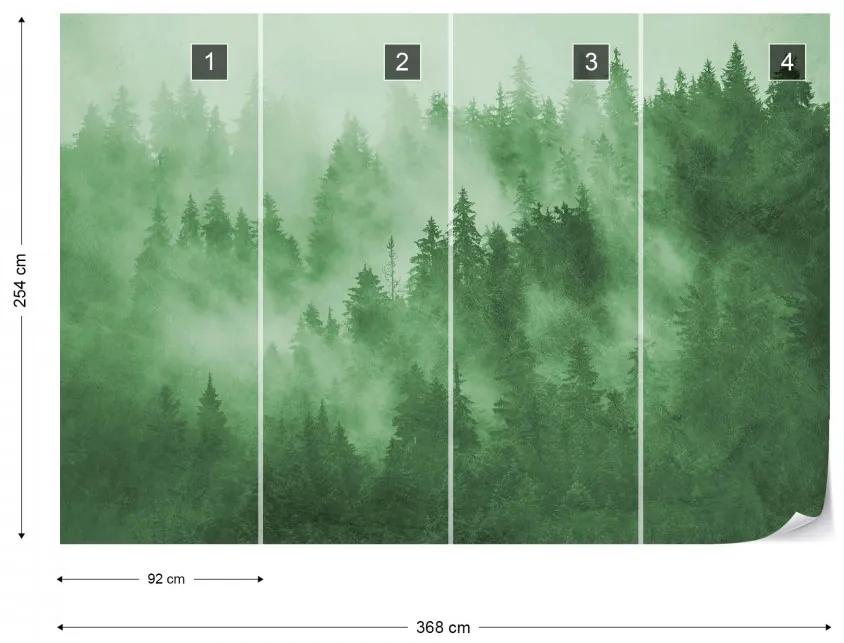 Fototapet - Pădure de Brazi în Ceață – Verde