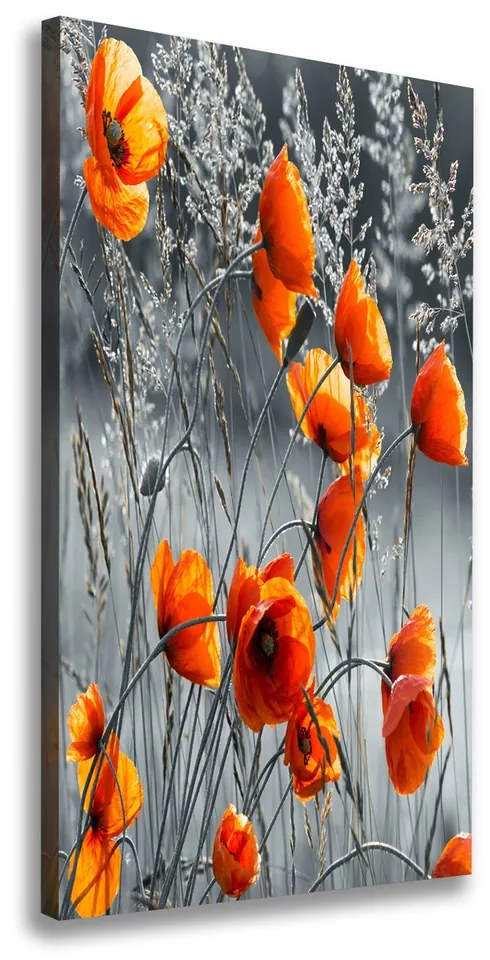 Pictură pe pânză Wildflowers maci