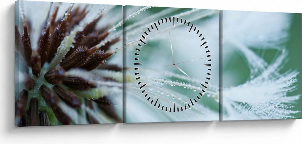 Tablou - Detaliu floare (cu ceas) (90x30 cm)