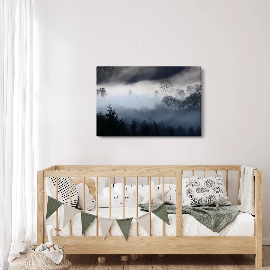 Tablou cu ceță deasupra pădurii (90x60 cm)