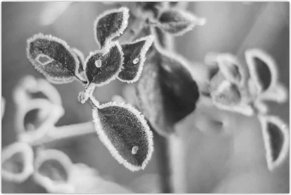 Tablou - Natura în toamnă (90x60 cm)