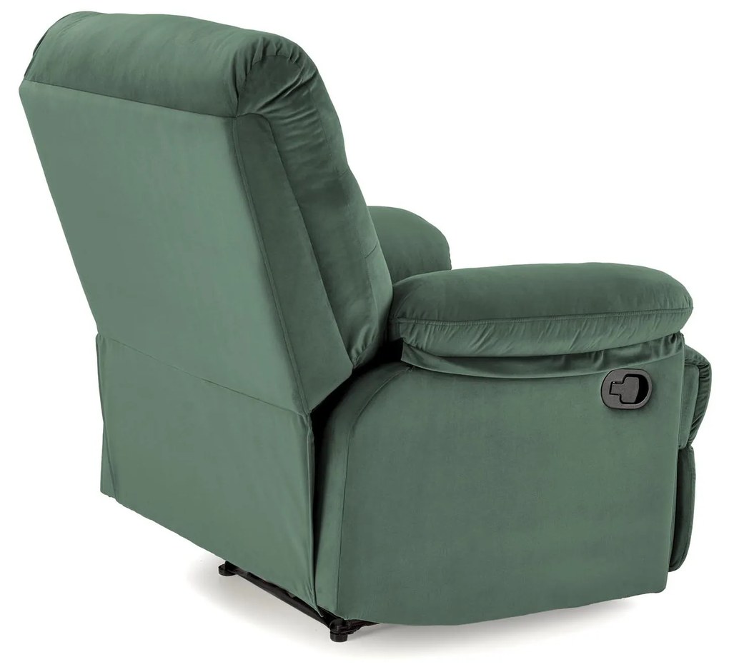 Fotolilu Drago (verde închis). Promo -6%. 1092519