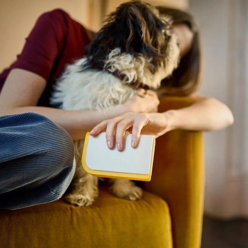 Instrument pentru indepartarea parului de animale Joseph Joseph CleanTech 3in1 6500037, Pentru locuri greu accesibile, Margine din cauciuc, Cleste, Bej