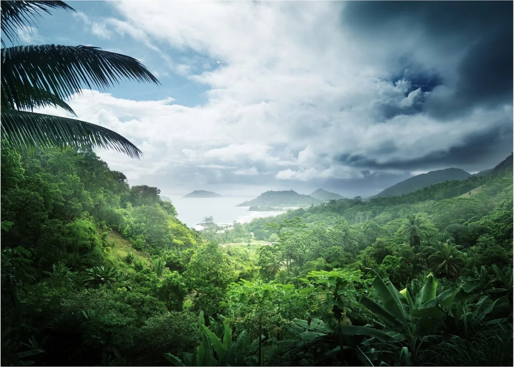 Tablou pe sticlă -Jungla din Seychelles (70x50 cm)
