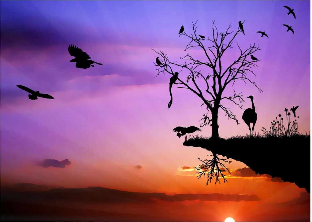Tablou - Siluetele animalelor (70x50 cm)