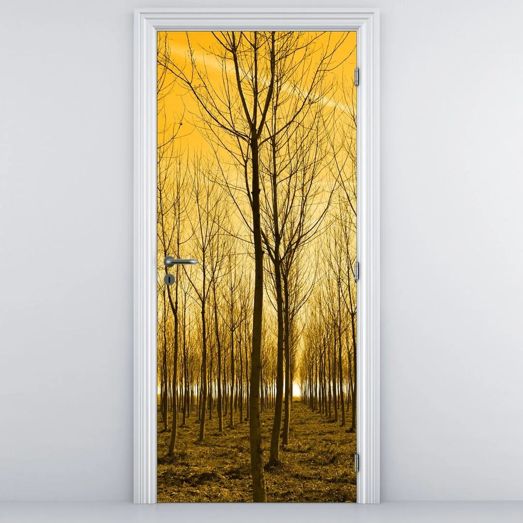 Fototapet pentru ușă - Pădurea la apus de soare (95x205cm)