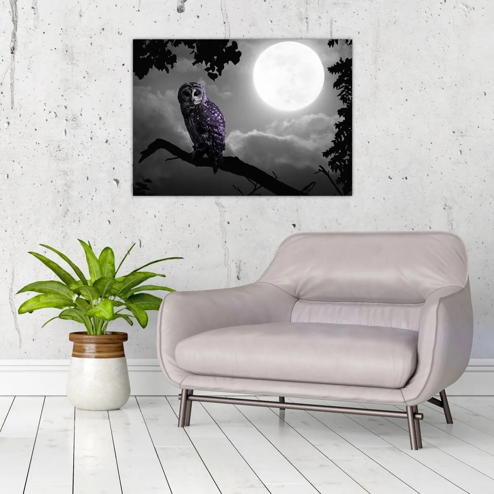Tablou pe sticlă - Bufniță de noapte, bufniță mov (70x50 cm)