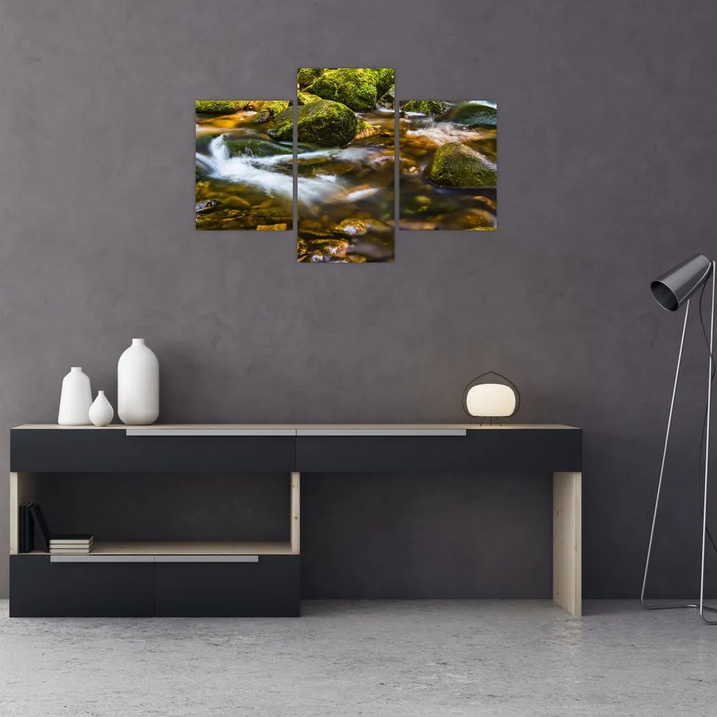 Tablou cu părâu (90x60 cm)