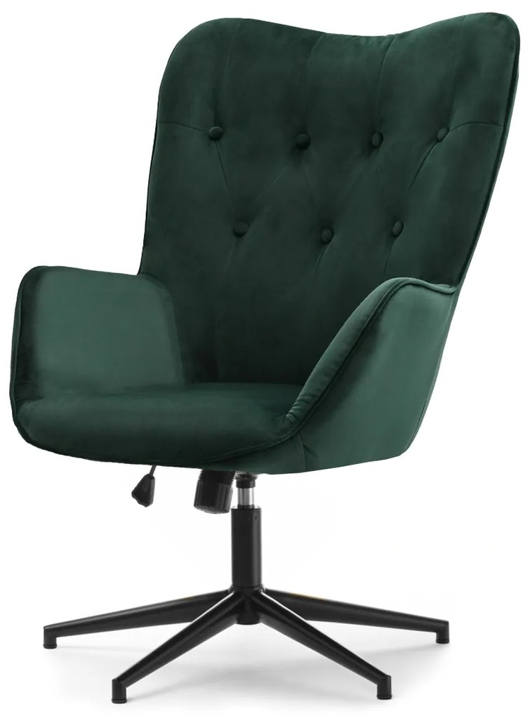 Fotoliu Truni (verde + negru). 1110429