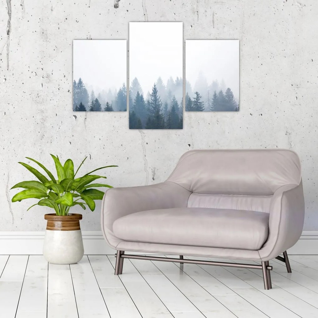 Tablou - Pădure cețoasă (90x60 cm)