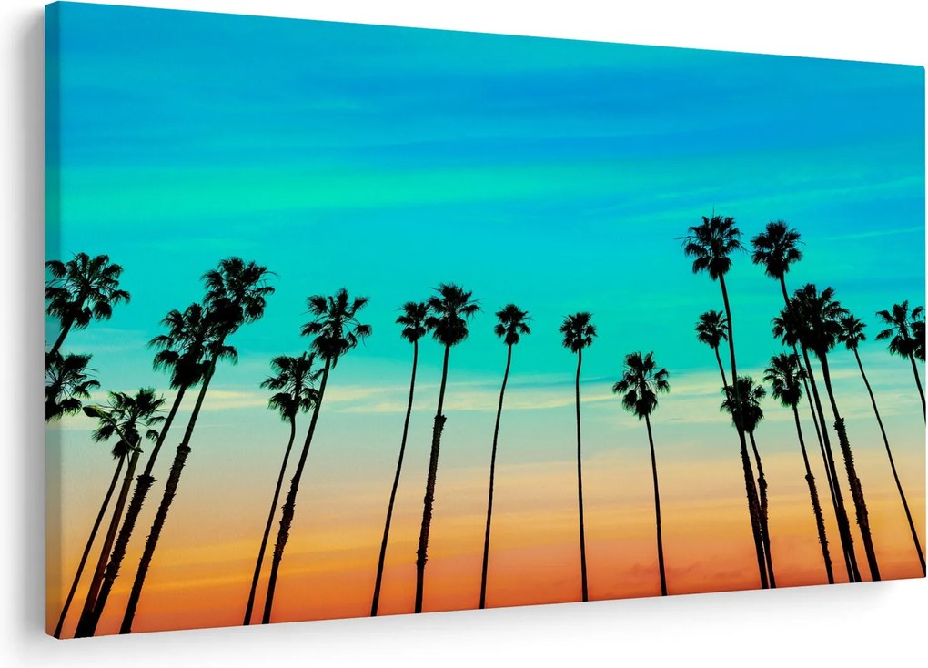 Tablou - California (90x60 cm)