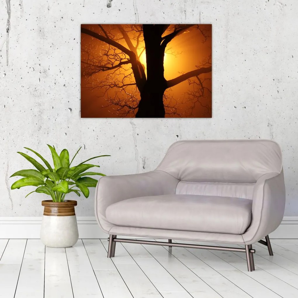 Tablou cu copac în apus de soare (70x50 cm)
