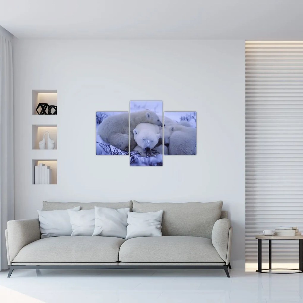 Tablou - Urși polari (90x60 cm)