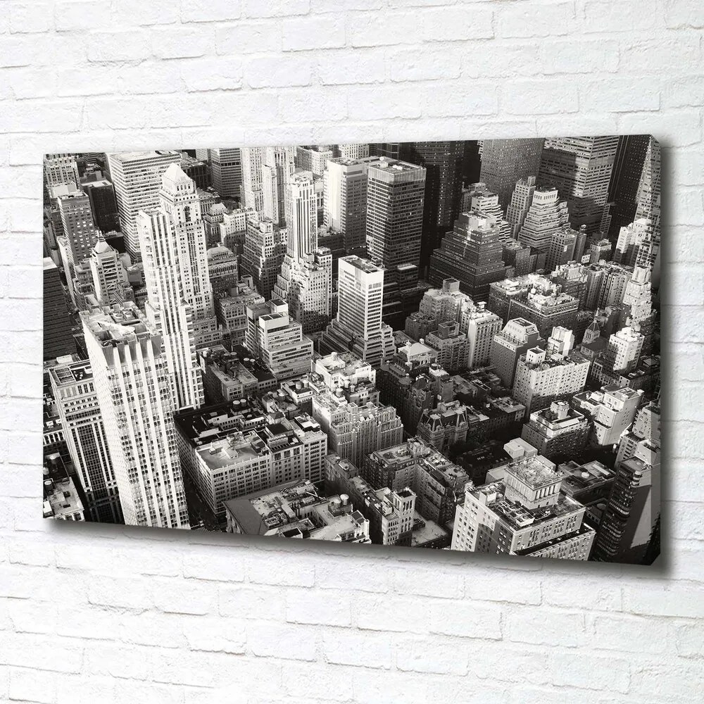 Tablou pe pânză New york pasăre de zbor