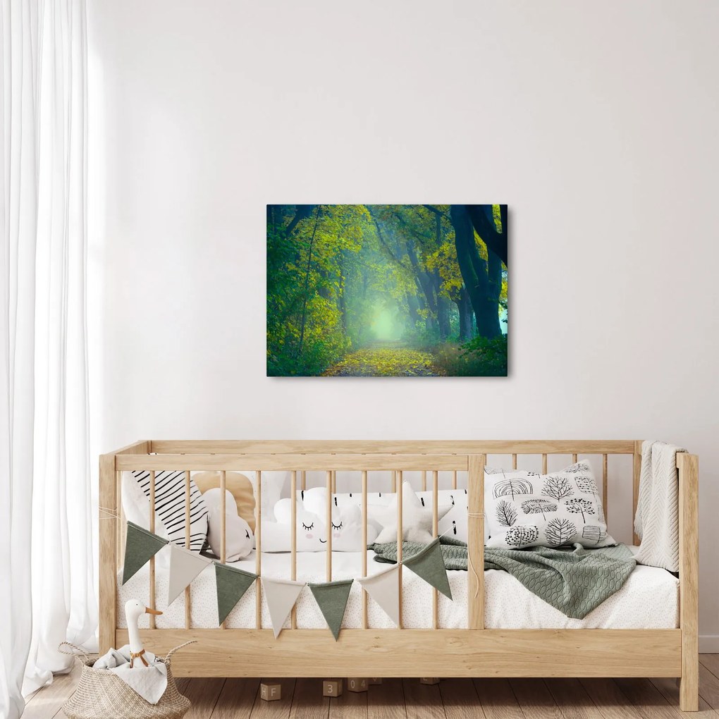 Tablou cu drum dea lungul cu copaci (70x50 cm)