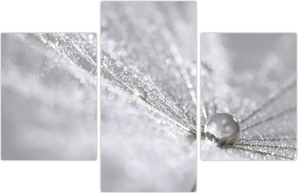 Tablou - Picătură de apă (90x60 cm)