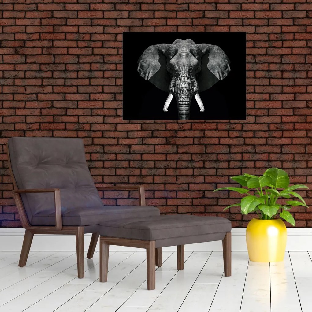 Tablou pe sticlă - Elefant pe fundal negru (70x50 cm)