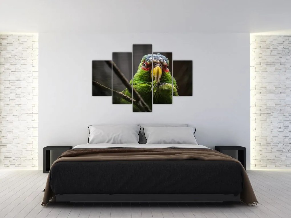 Tablou cu papagal (150x105 cm)