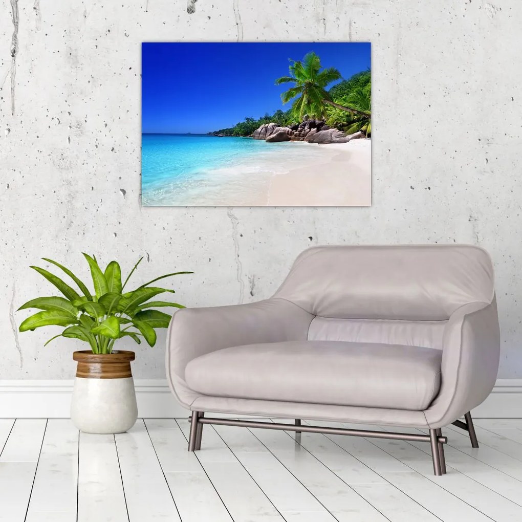 Tablou cu plaja pe insula Praslin (70x50 cm)