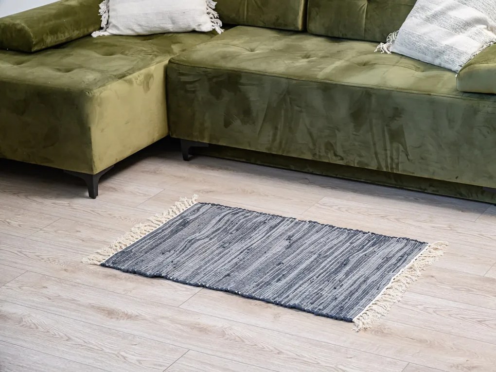 Covor RENSKE 60x90 cm, negru/dungi
