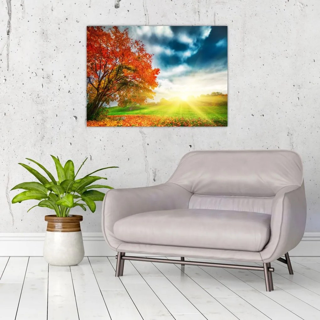 Tablou pe sticlă peisaj cu scufundat în razele solare (70x50 cm)