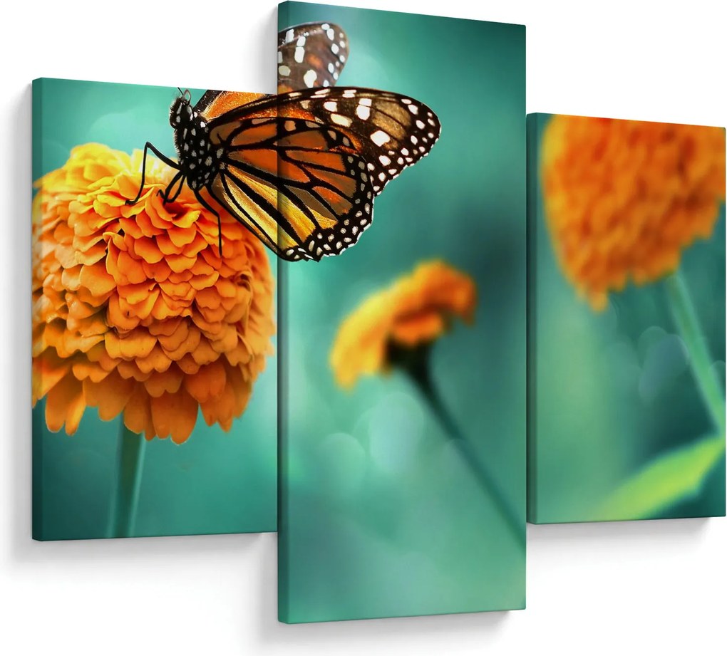 Tablou cu fluture (90x60 cm)