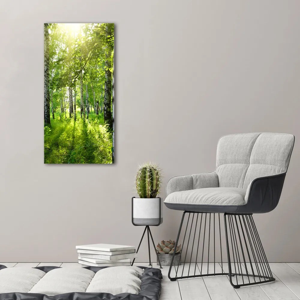 Print pe canvas Pădurea de mesteacăn