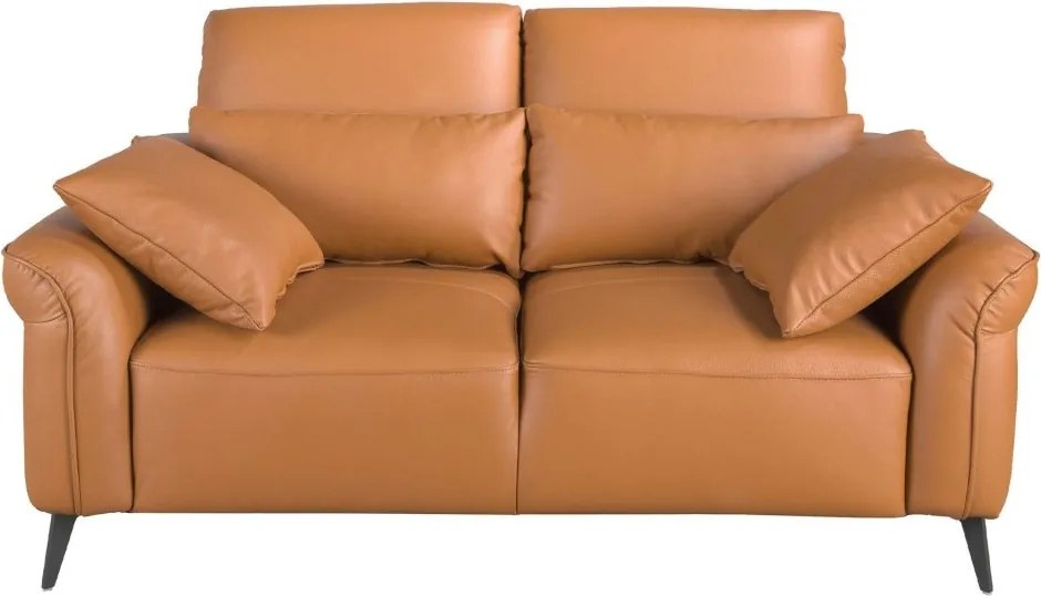 Canapea design LUX 2 locuri Brown Leather