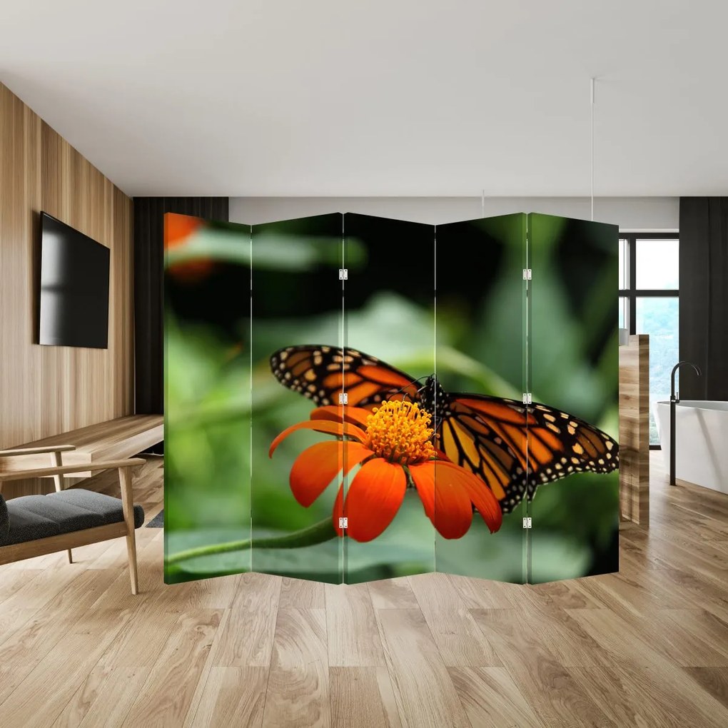 Paravan - Fluture pe floare (210x170 cm)
