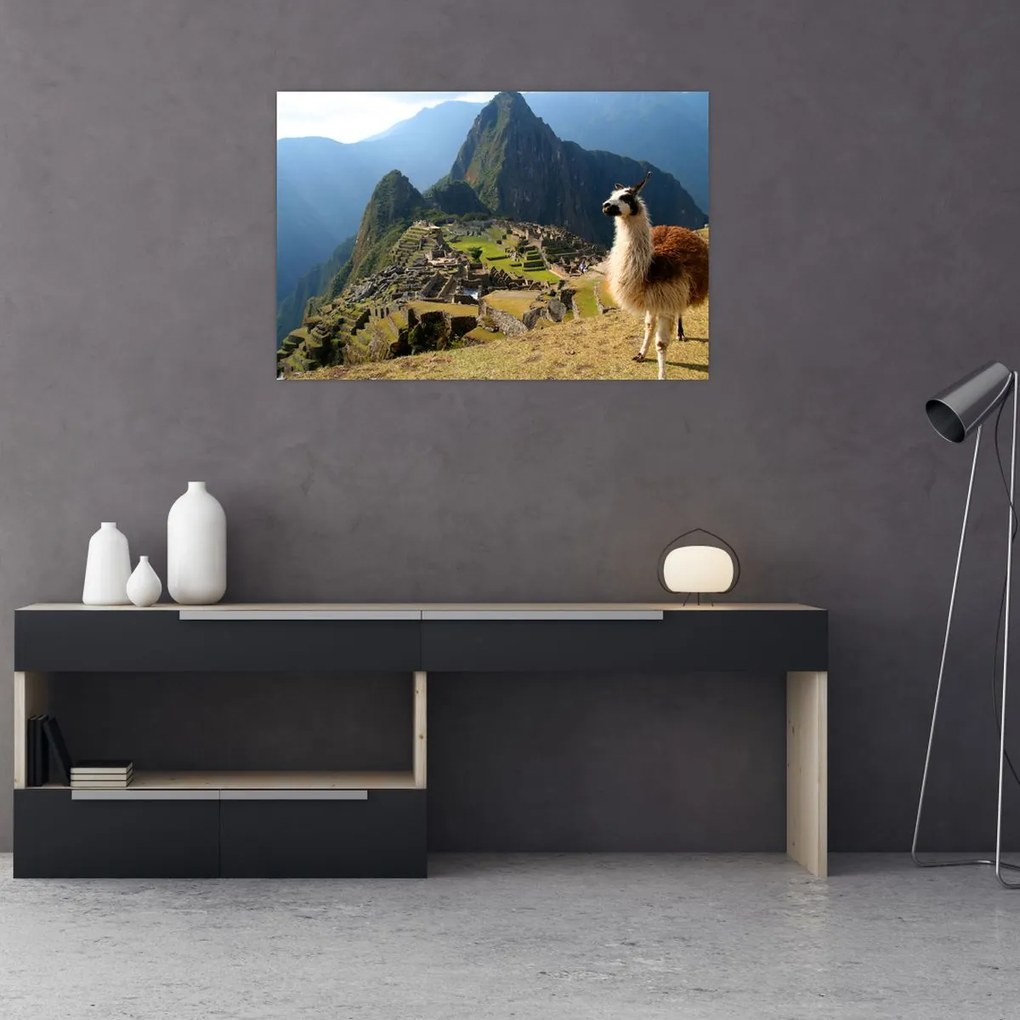 Tablou - Lama și Machu Picchu (90x60 cm)