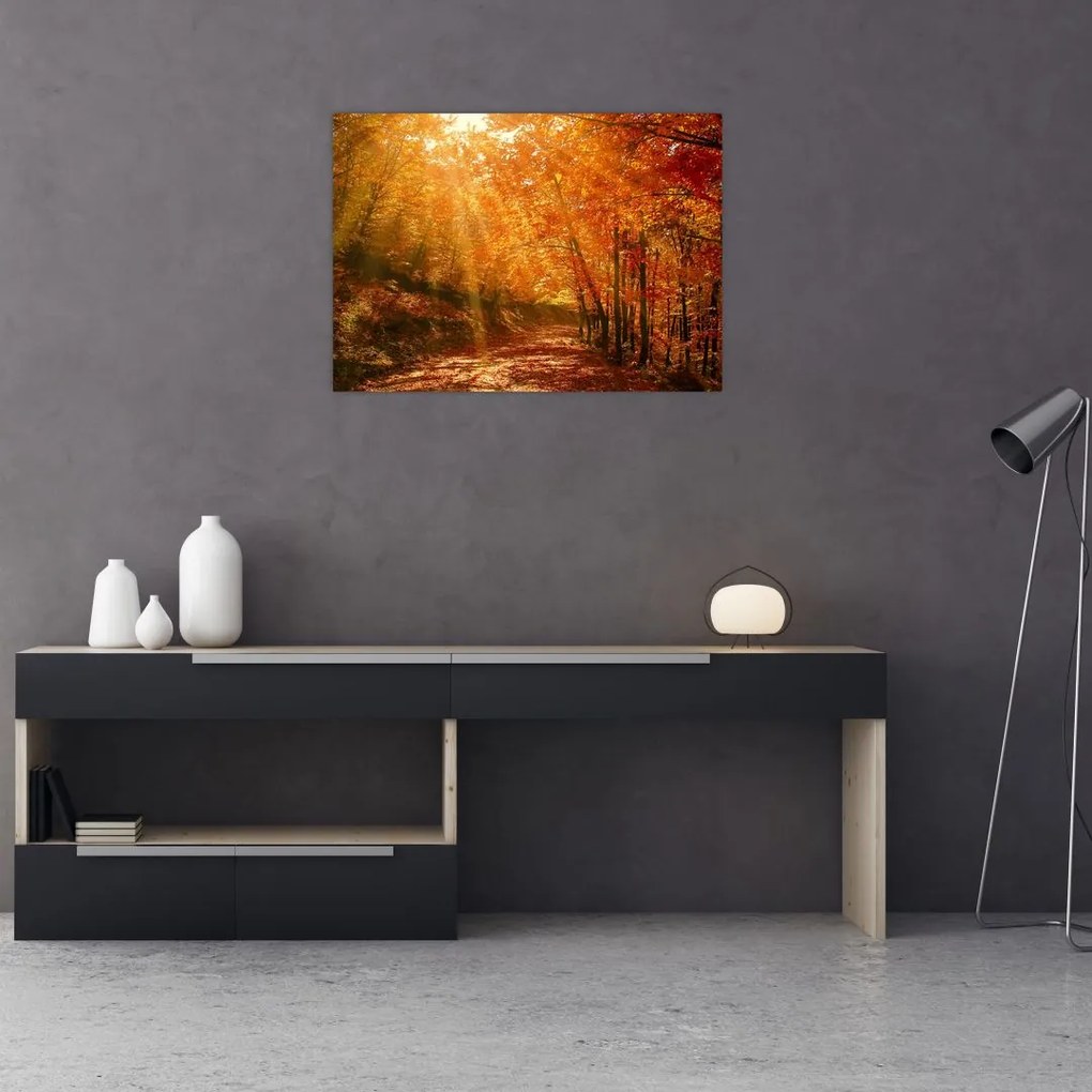 Tablou pe sticlă cu pădurea în toamnă (70x50 cm)