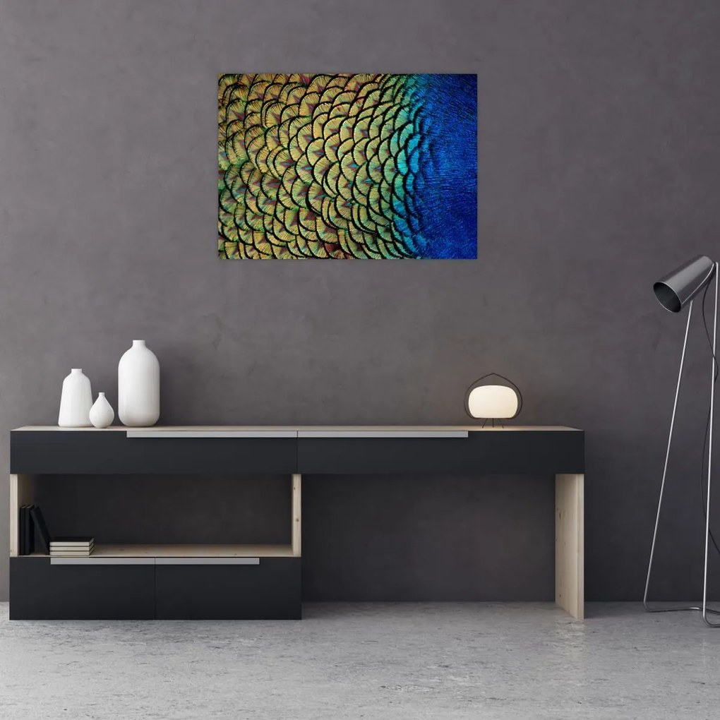 Tablou - Pene de păun (70x50 cm)