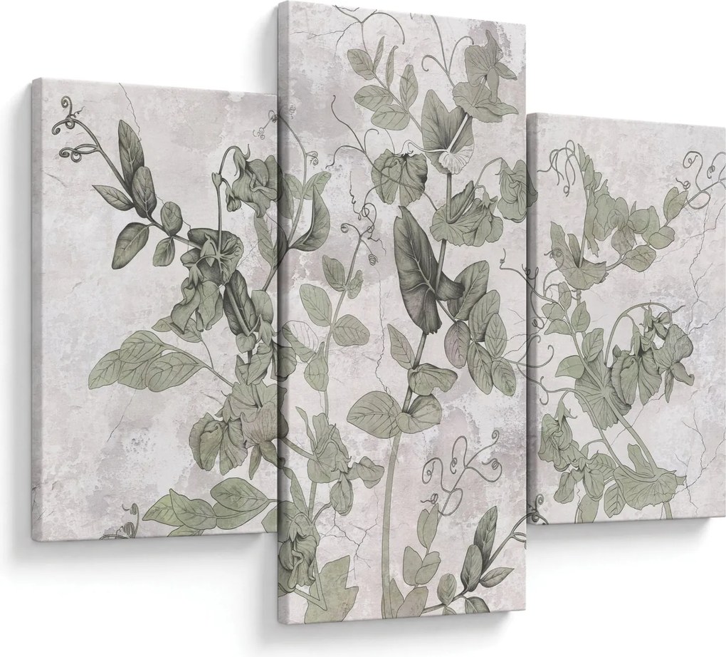 Tablou - Plante in ipsos (90x60 cm)