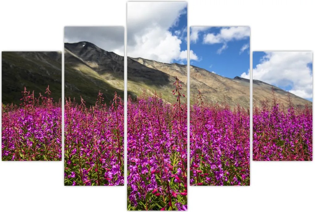 Tablou sceneriei cu lunca montană (150x105 cm)