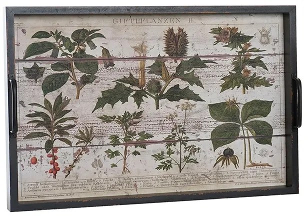 Tava servire din lemn, Botanical, 60x40 cm