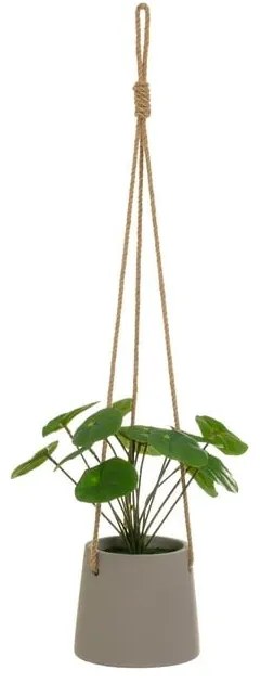 Plantă artificială (înălțime 24 cm) Pilea – Casa Selección