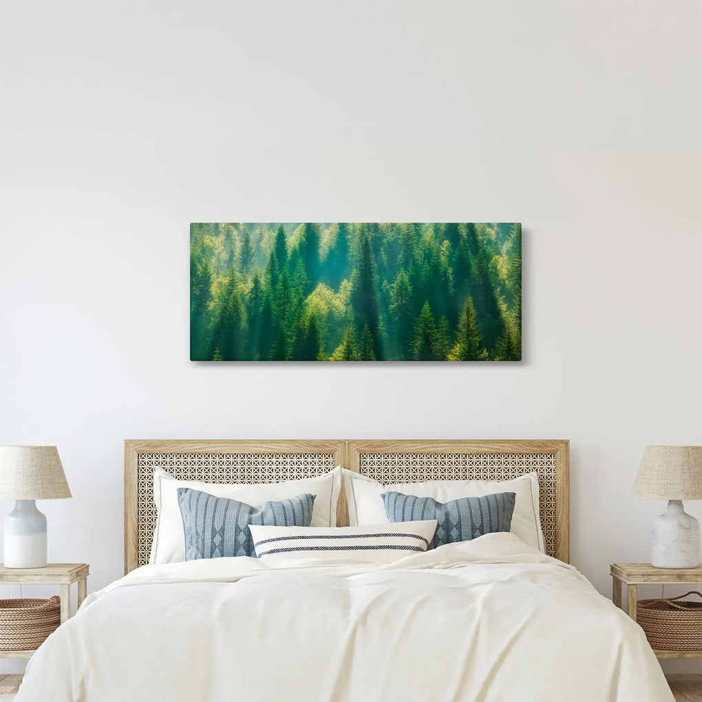 Tablou - Pădurea de brazi (120x50 cm)