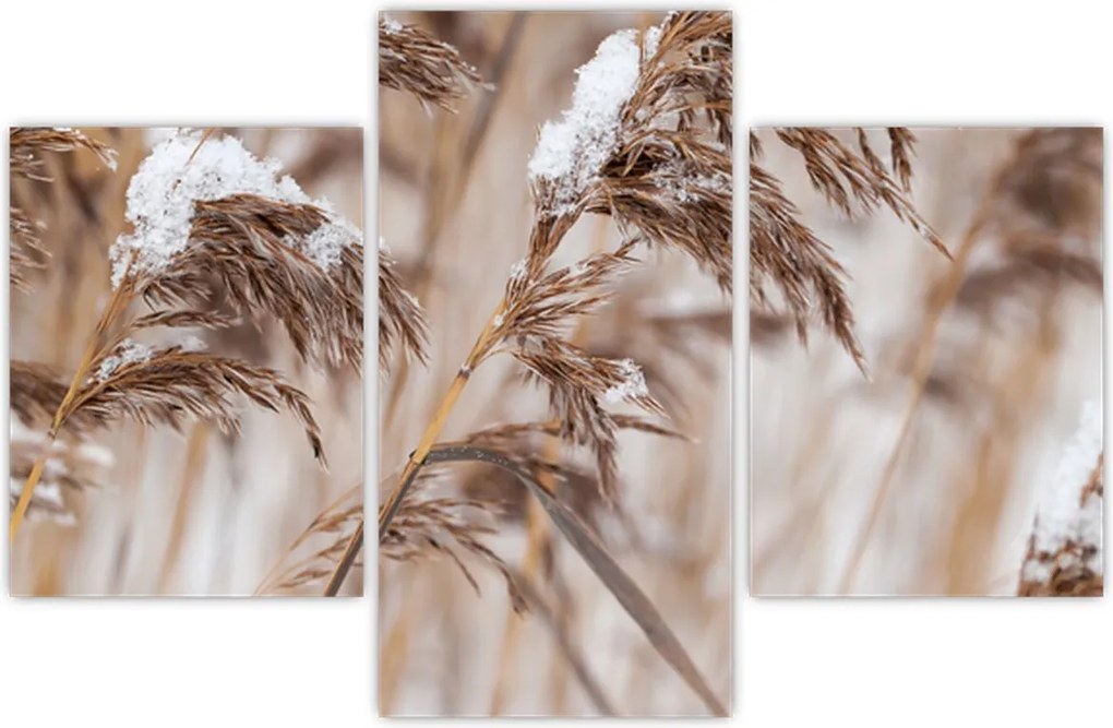 Tablou - Tei (90x60 cm)