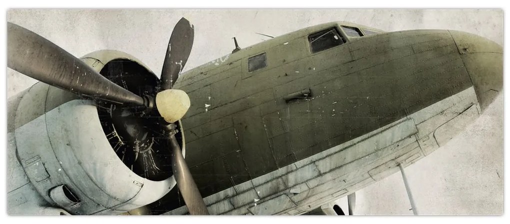 Tablou - Avion vechi cu elice (120x50 cm)