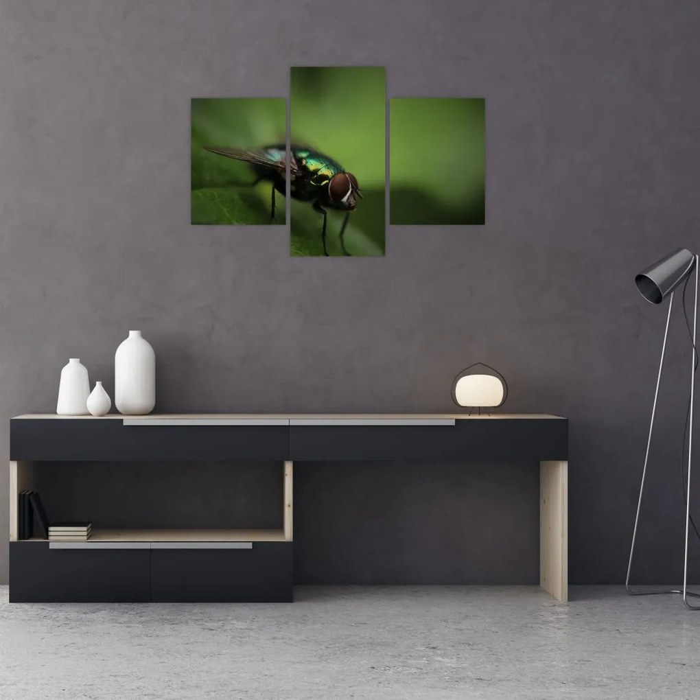 Tablou - Musca (90x60 cm)
