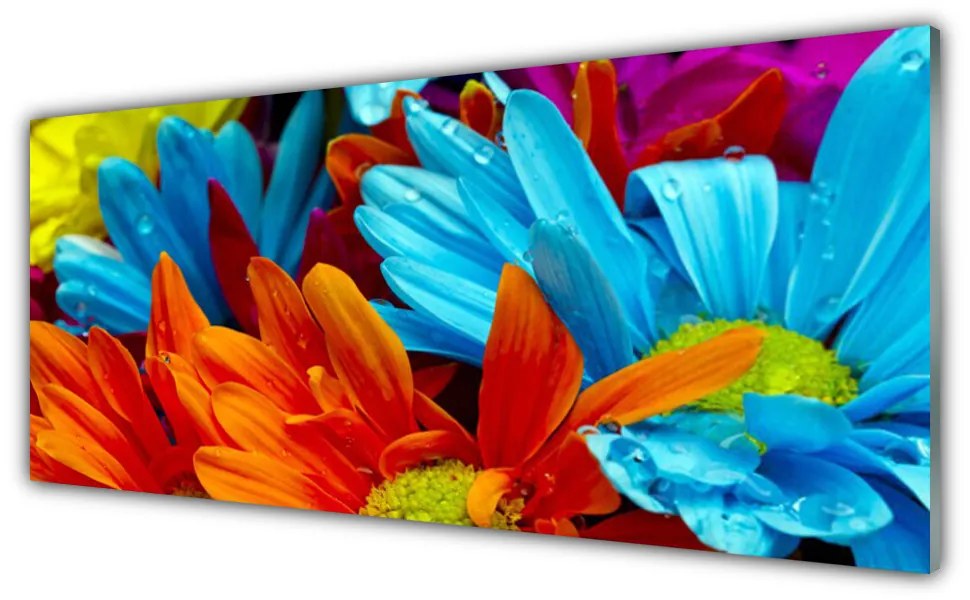 Tablou pe sticla Flori Floral Roșu Albastru Portocaliu