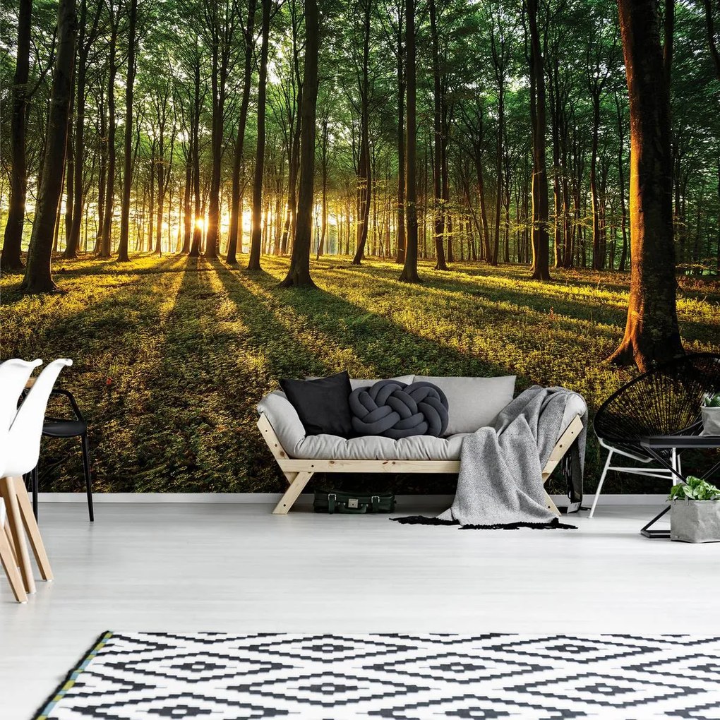 Fototapet - Pădure (152,5x104 cm)