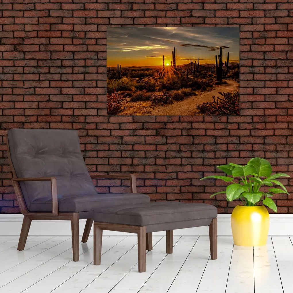 Tablou - Sfărșit de zi în deșertul Arizona (90x60 cm)