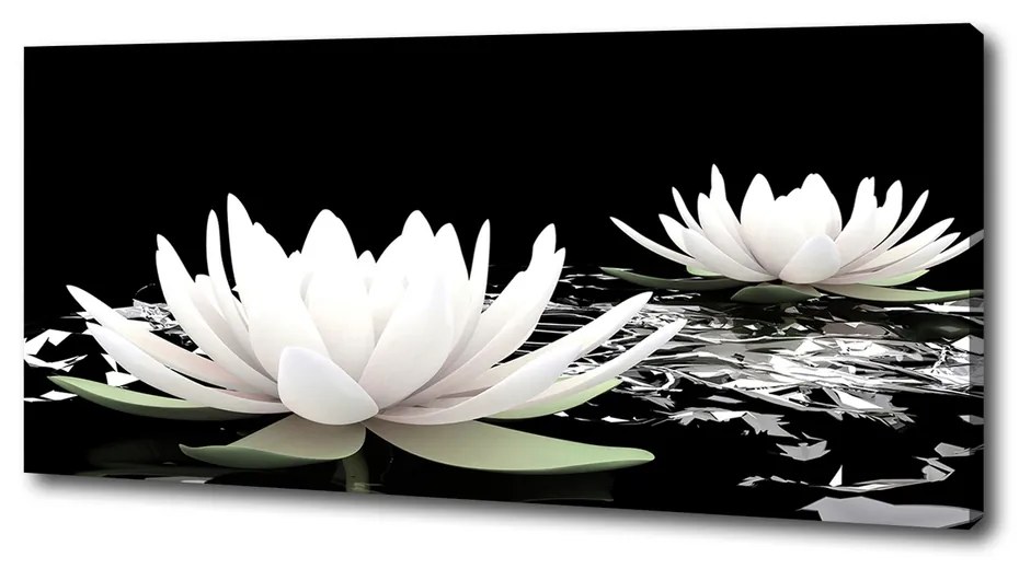 Print pe canvas Nuferi