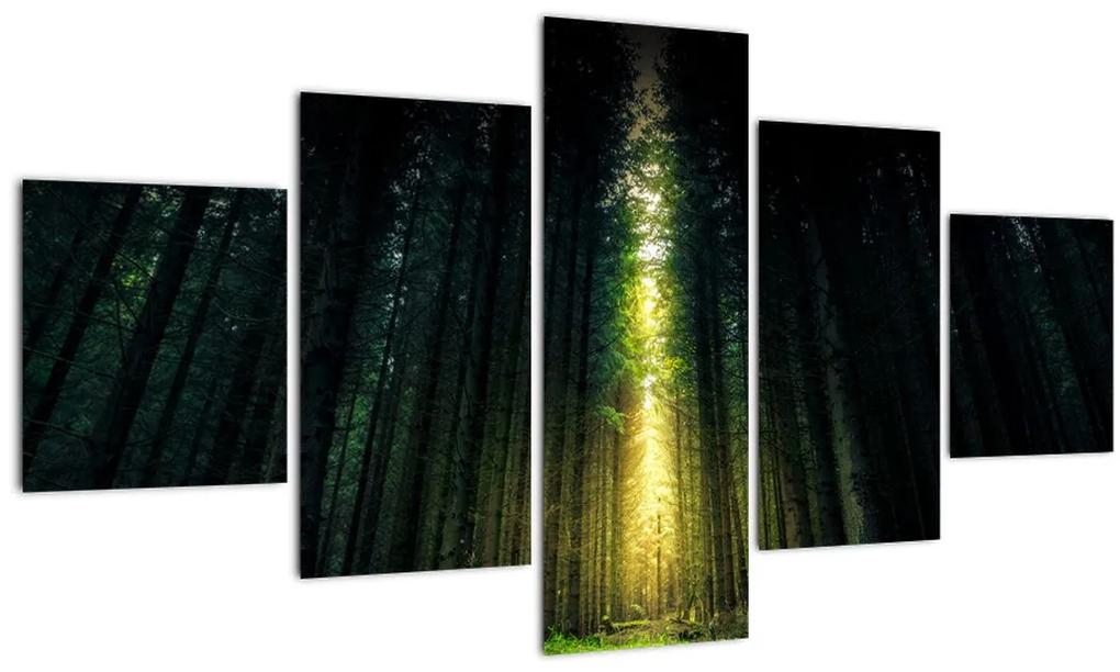 Tablou cu pădurea întunecată (125x70 cm), în 40 de alte dimensiuni noi
