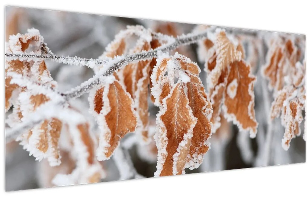 Tablou - Frunze înghețate (120x50 cm)