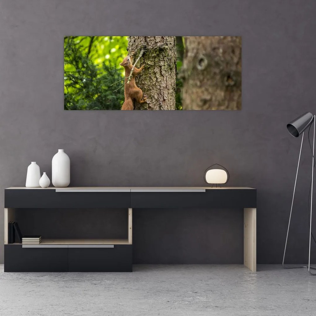 Tablou - Veverița (120x50 cm)