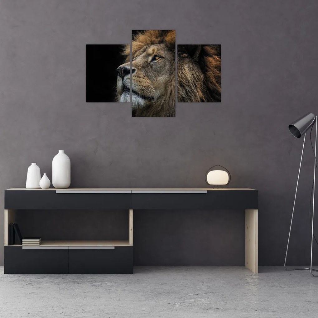 Tablou - Leul maiestuos (90x60 cm)