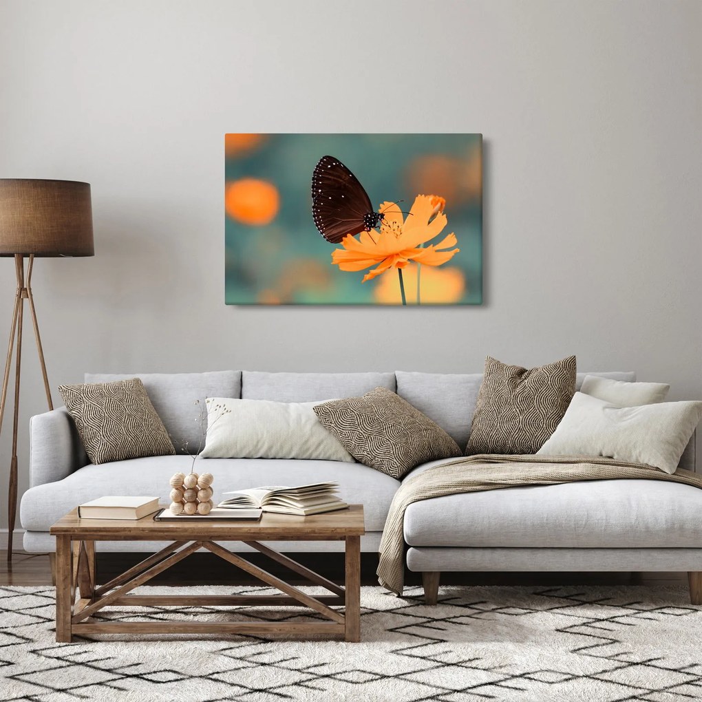 Tablou - fluture pe o floare portocalie (90x60 cm)